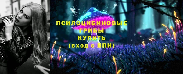 амф Абаза
