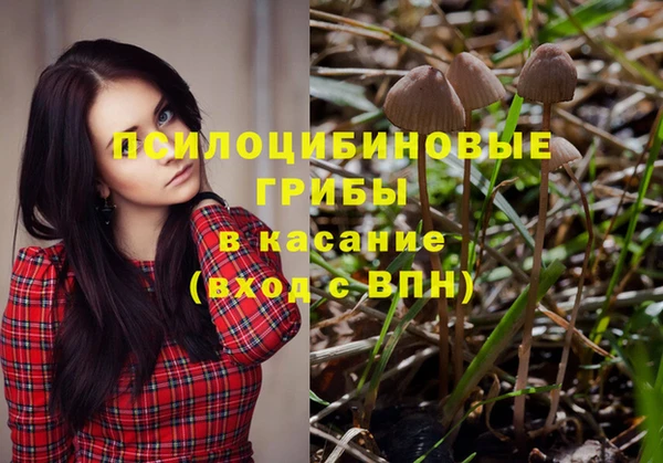ГАЛЛЮЦИНОГЕННЫЕ ГРИБЫ Абдулино
