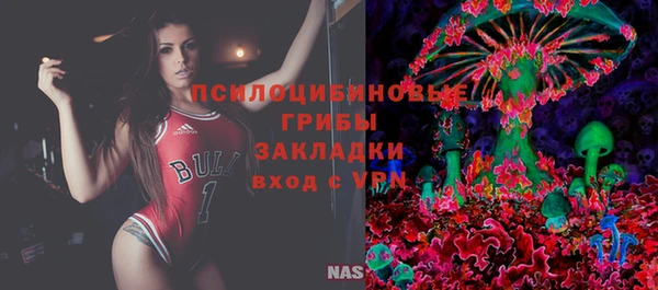 ГАЛЛЮЦИНОГЕННЫЕ ГРИБЫ Абдулино